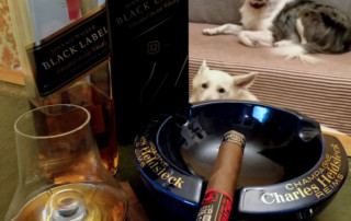 Johnnie Walker Black Label & Border Collie Dog