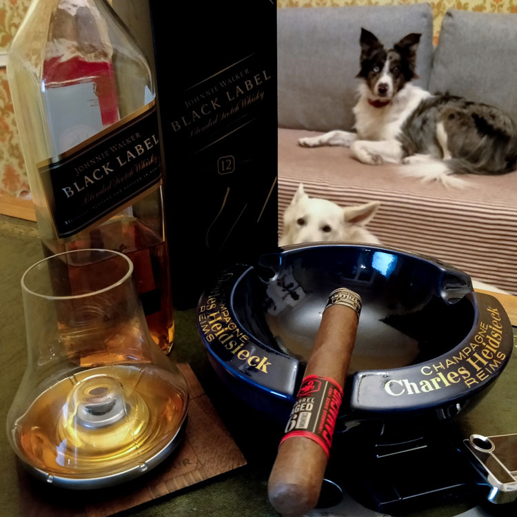 Johnnie Walker Black Label & Border Collie Dog
