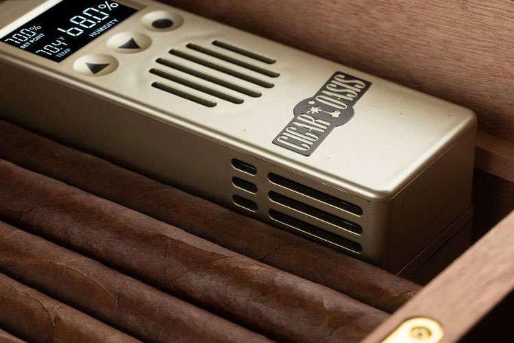 Cigar Oasis Excel 3