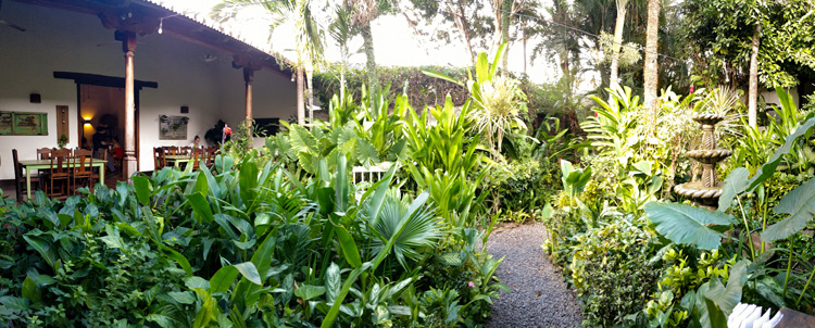 The Garden Café Interior