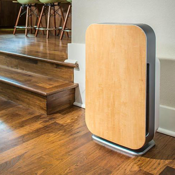 Alen BreatheSmart 75i