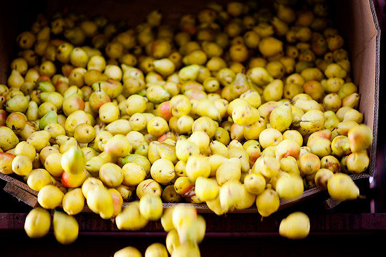 Bartlett Pears, St George Distillery