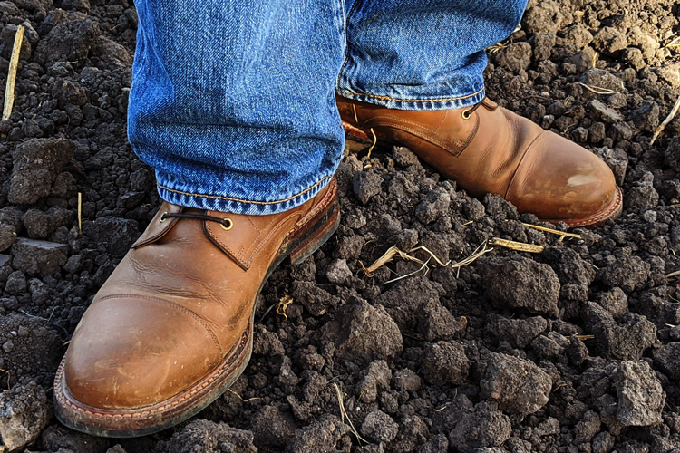 Beckett Simonon Boots In Tobacco Field