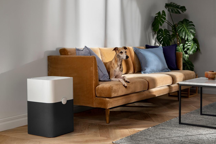 BlueAir 211+ In Lounge