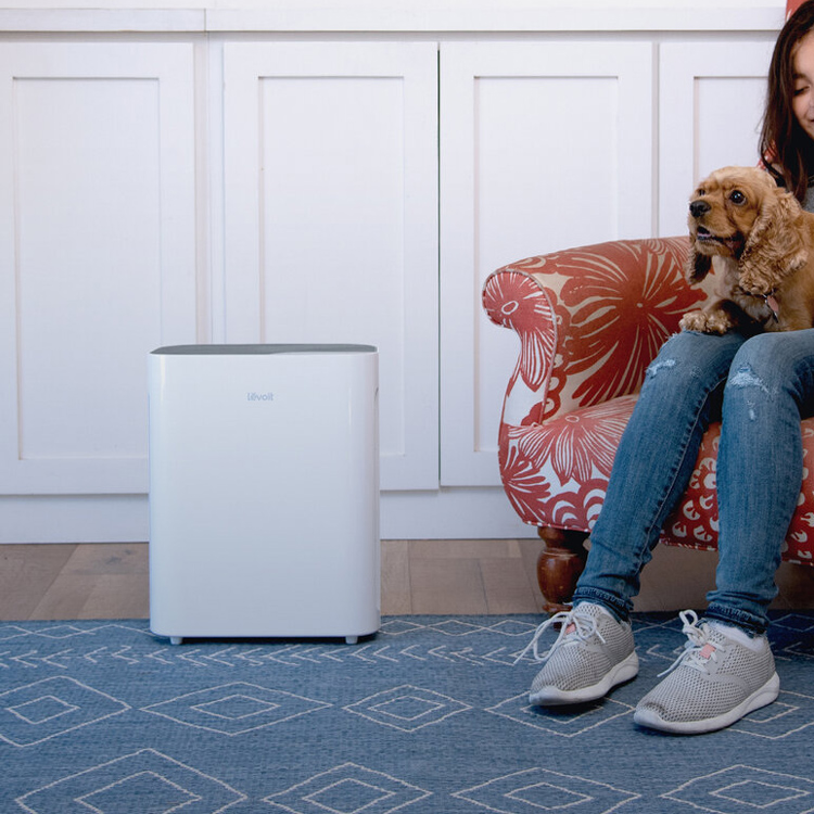 Levoit Vital 100 Air Purifier