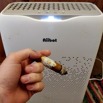 Low-Powered Air Purifier