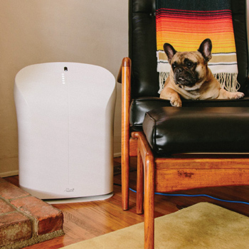 Rabbit Air BioGS 2.0