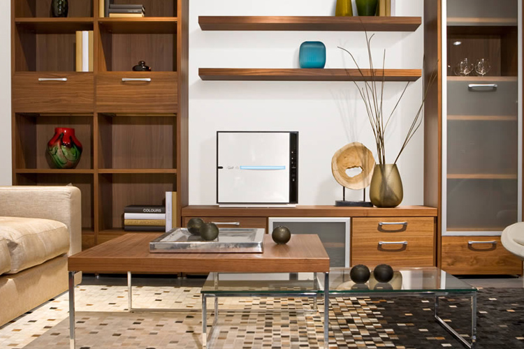 Rabbit Air MinusA2 In Living Room