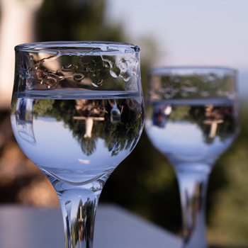 Schnapps Tulip Glasses by Srdjan Stojiljkovic CC 2