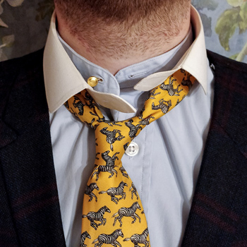 TM Lewin Tunic Shirt & Darcy Clothing Stiff Collar