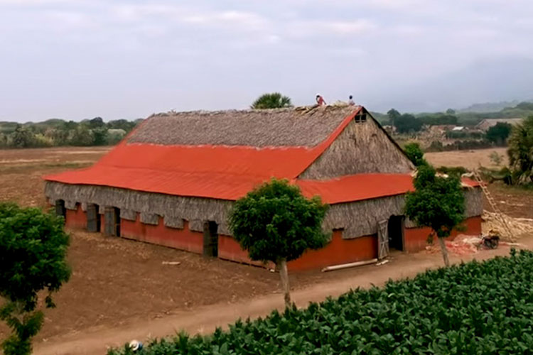 Davidoff Cigar Tobacco Curing Barn