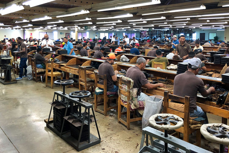 Davidoff Rolling Factory Floor