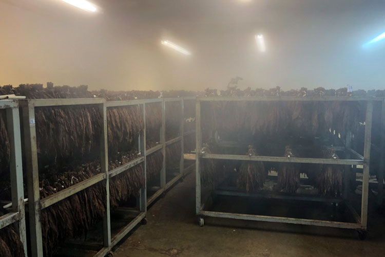 Davidoff Sauna Chamber For Humidifying Tobacco