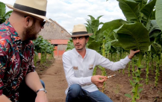 Klaas Kelner Demonstrating Davidoff Tobacco Primings