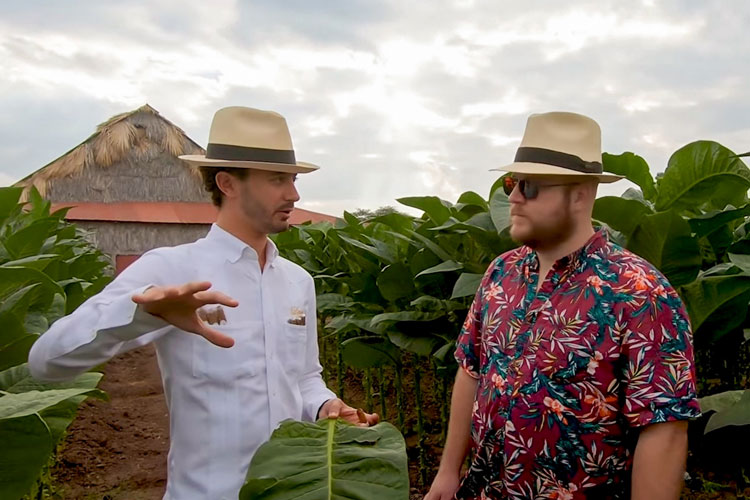 Klaas Kelner Discussing Harvesting With Paul Anthony