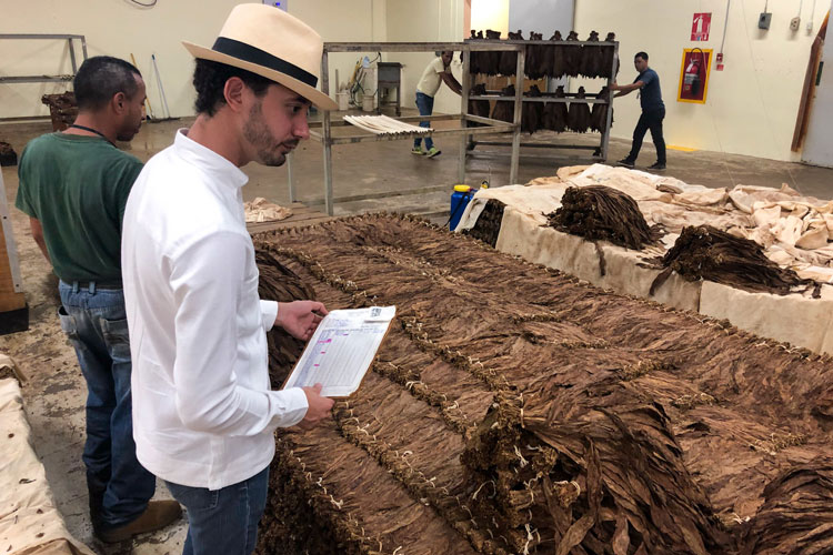 Klaas Kelner Inspecting Davidoff Pilon