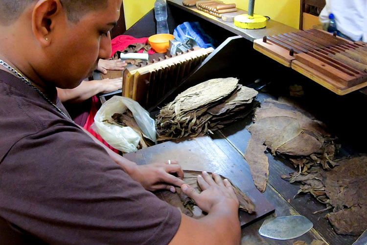 Mombacho Roller Wrapping Filler In Binder