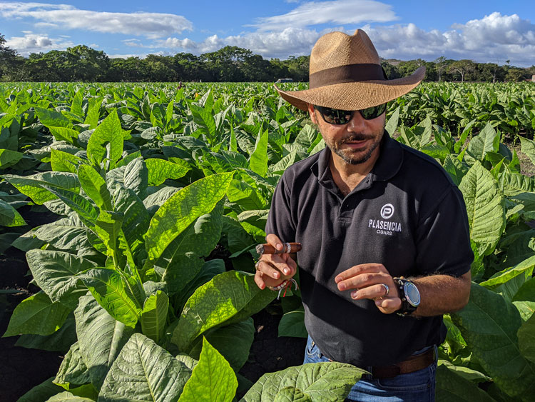 Nestor Plasencia In Tobacco Field