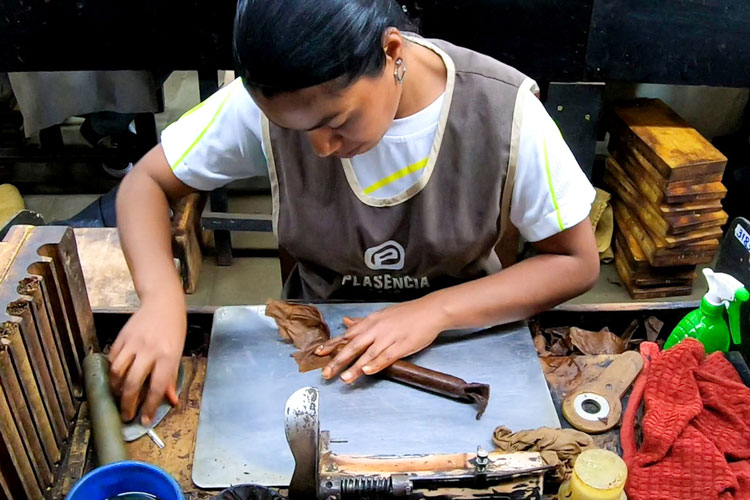 Plasencia Cigar Roller Finishing Wrapper