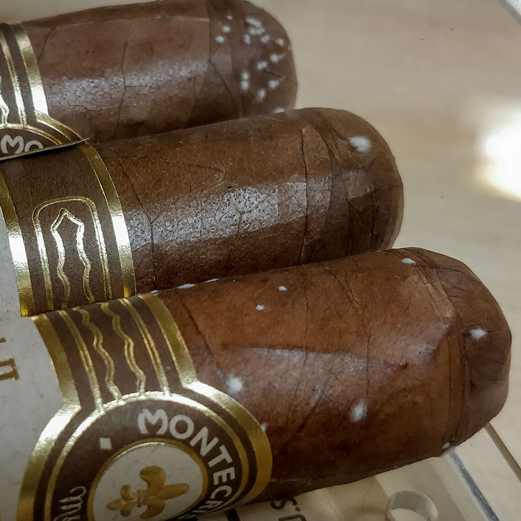 Cigars With Mold