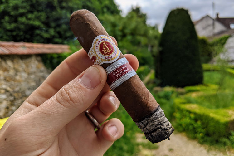 Flor de Cano Magicos First Third