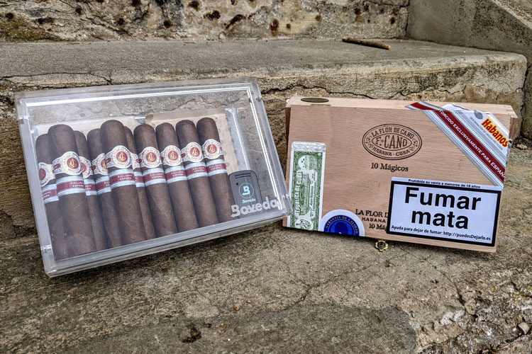 Flor de Cano Magicos Review