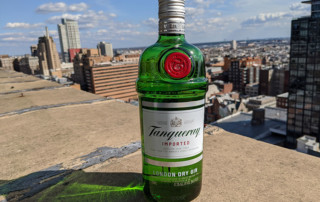 Classic green bottle of Tanqueray Dry Gin