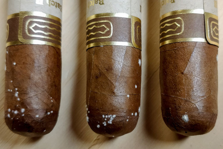 What Is Cigar Mold