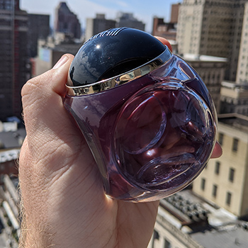 Contemporary dice design of Century Blue Bottle