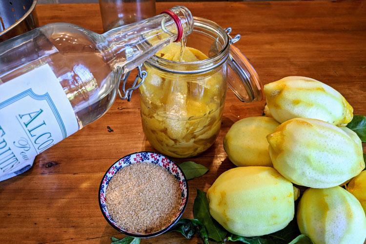 Adding Alcohol To Lemon Skins To Make Limoncello