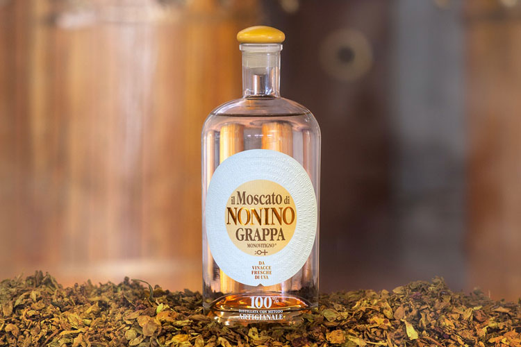 Best Grappa From Italy