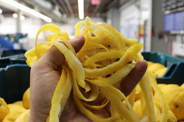 Fabrizia Lemon Peels For Limoncello