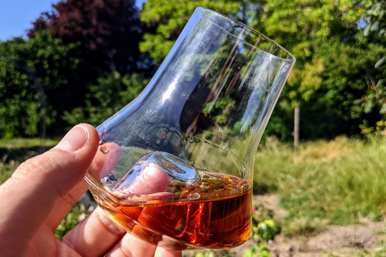 Flor de Caña 18 In Peugeot Glass