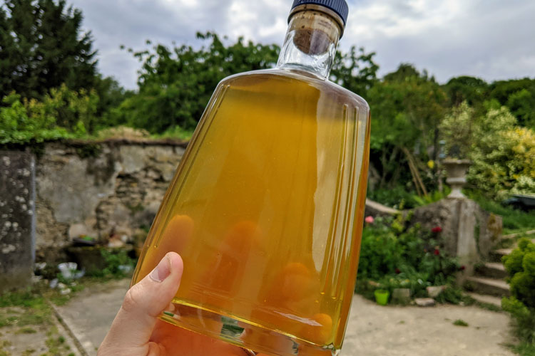 Homemade Limoncello Recipe