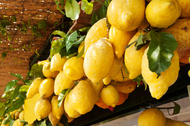 Italian Sorrento Lemons