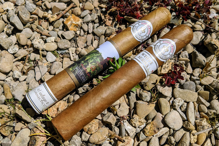 Montecristo White Series & Vintage Connecticut Cigars Look & Feel