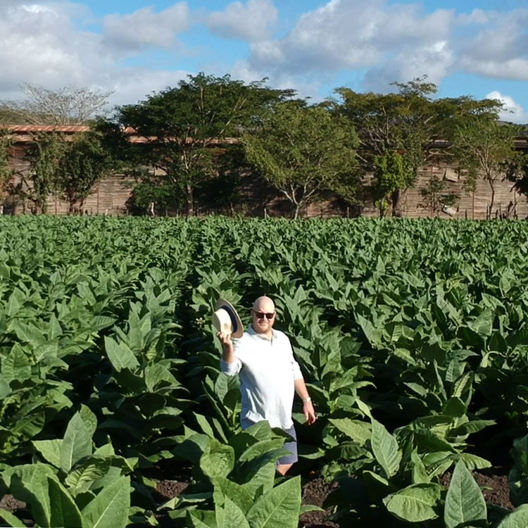 Paul Anthony In Plasencia Tobacco Field