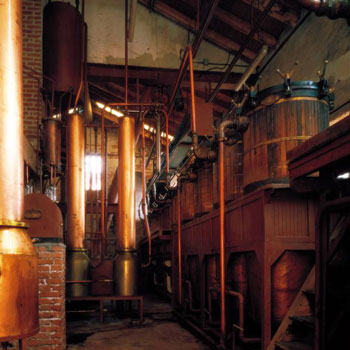 Poli Distillery Steam Alembic