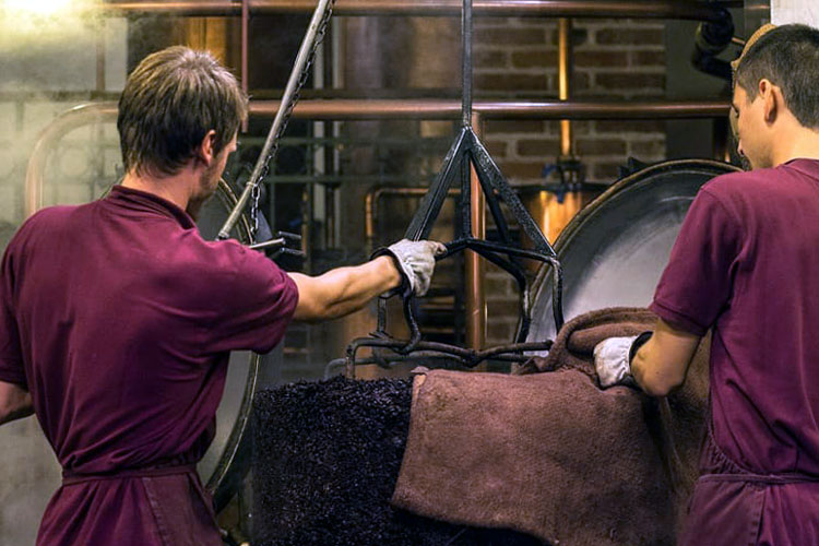 Workers Preparing Pomace At Poli Distillery