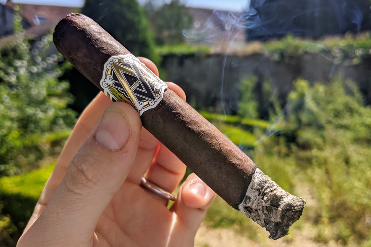 Avo Classic Maduro Cigar First Third