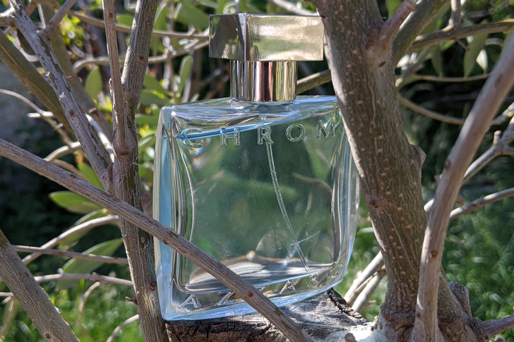 Azzaro Chrome In Olive Tree
