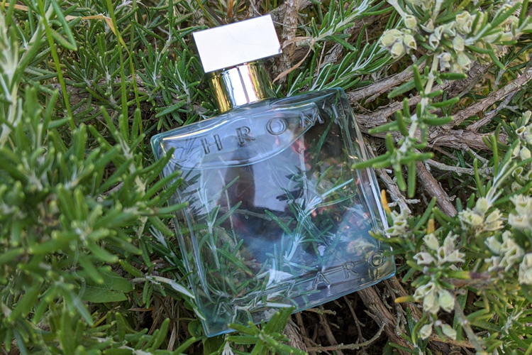 Azzaro Chrome In Rosemary