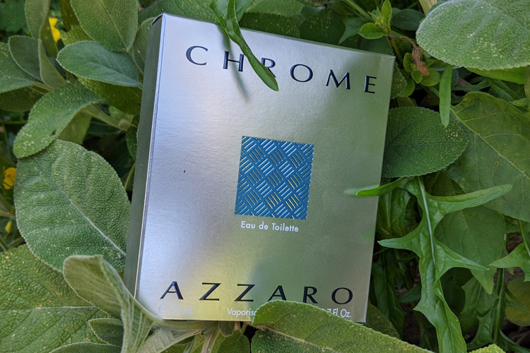 Azzaro Chrome Packaging In Sage