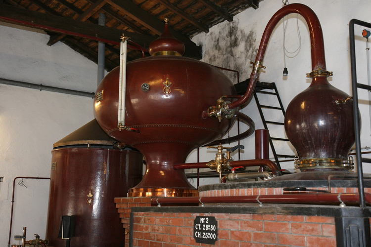 Cognac Alembic Still