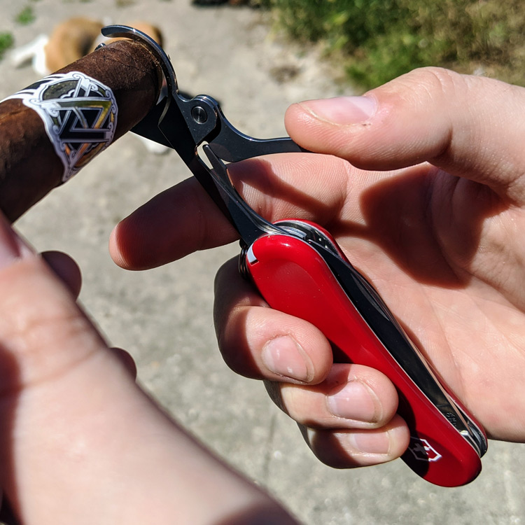 Cutting Avo Classic Maduro Cigar With Victorinox Cutter