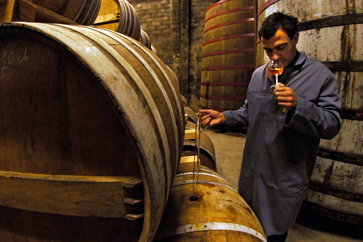 Delord Armagnac Tasting