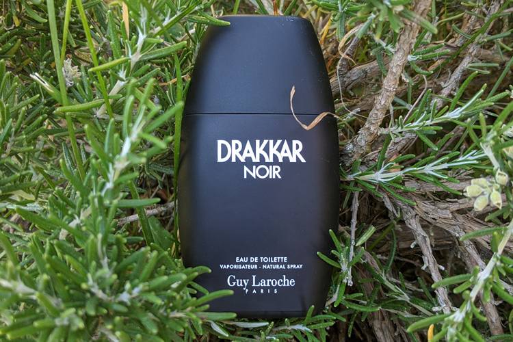 Guy Laroche Drakkar Noir In Rosemary