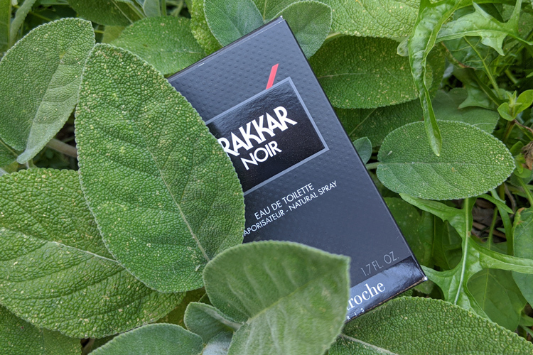 Guy Laroche Drakkar Noir In Sage