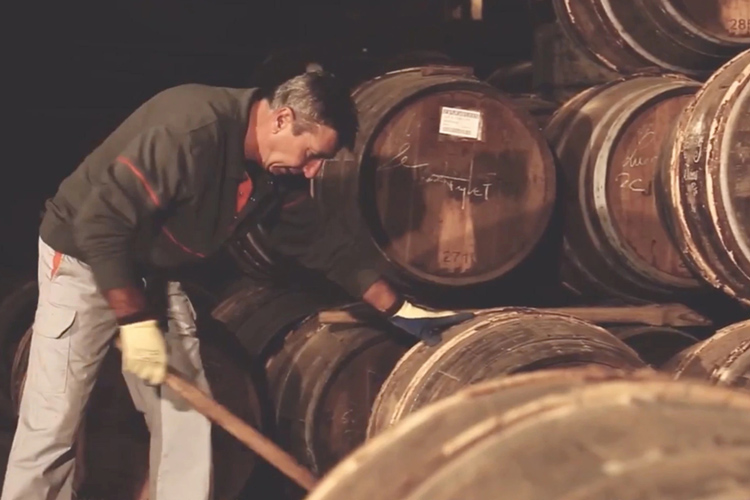Hennessy Oak Barrels