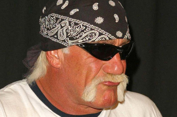 How To Grow A Horseshoe Mustache Like Hulk Hogan